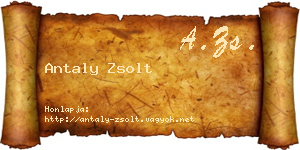 Antaly Zsolt névjegykártya